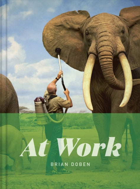 At Work By Doben Brian