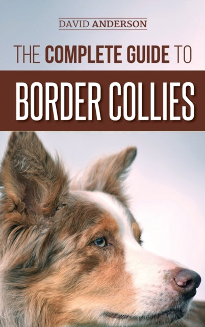 The Complete Guide To Border Collies: Tr By Anderson, David
