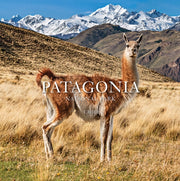 Patagonia National Park Chile