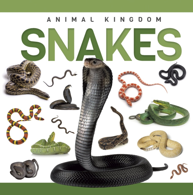 Snakes By Phillips-bartlett, R