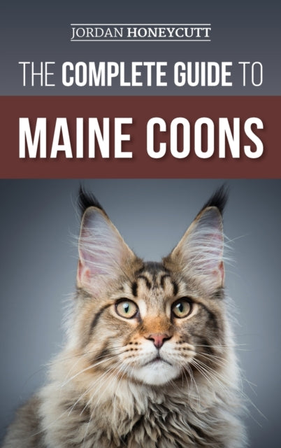 Complete Guide To Maine Coons: Findi