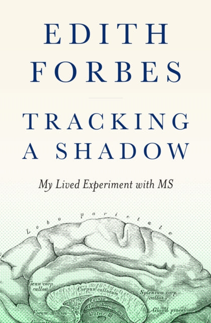 Tracking A Shadow