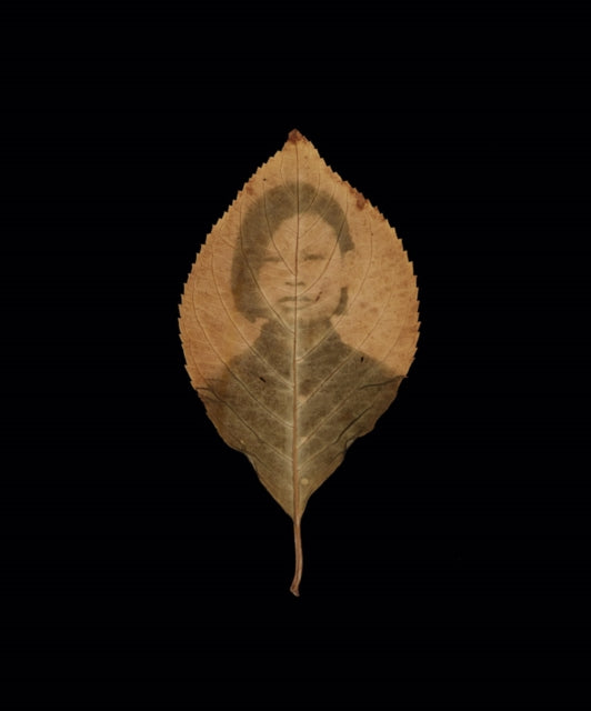 Binh Danh