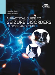 Practical Guide To Seizure Disorders In