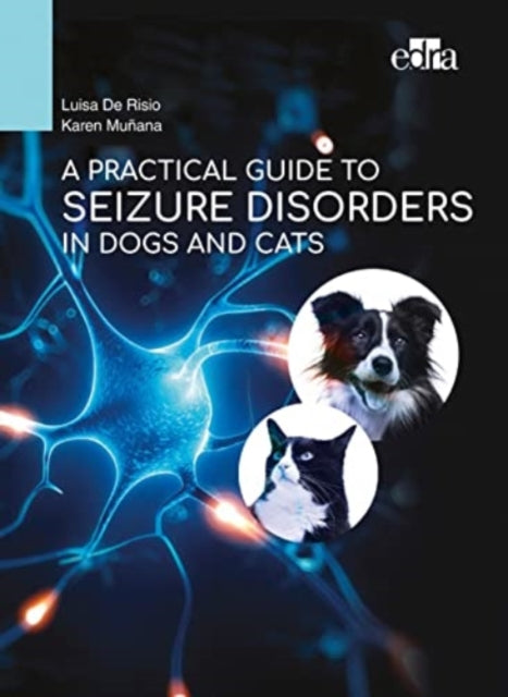 Practical Guide To Seizure Disorders In
