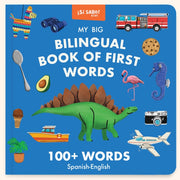 My Big Bilingual Book Of First Words 10 By Mike Alfaro