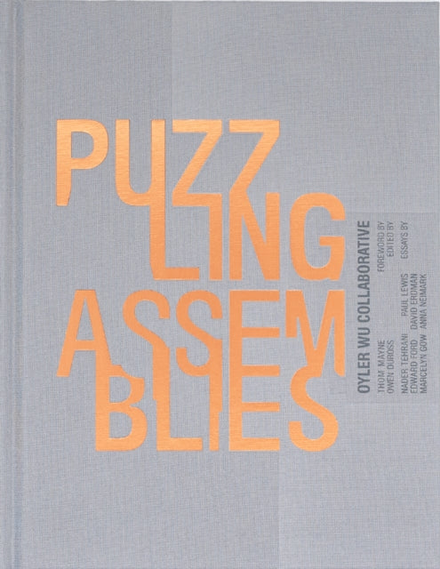 Puzzling Assemblies