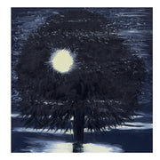 Ann Craven Night Hb