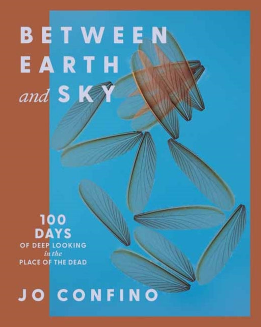 Between Earth & Sky