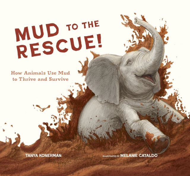 Mud To The Rescue