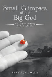 Small Glimpses Of Our Big God: A 60 Day By Foldy, Shannon