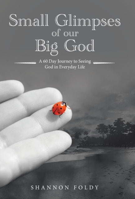 Small Glimpses Of Our Big God: A 60 Day By Foldy, Shannon
