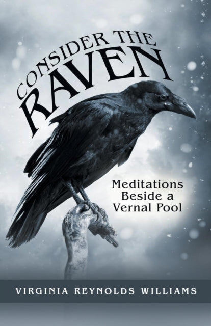 Consider The Raven: Meditations Beside A