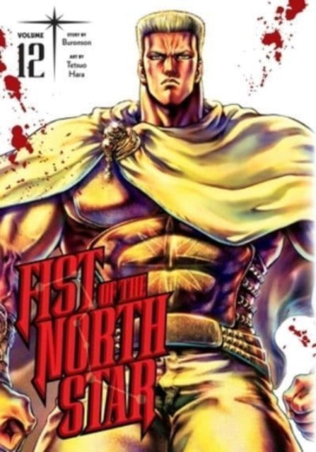 Fist Of The North Star Vol 12