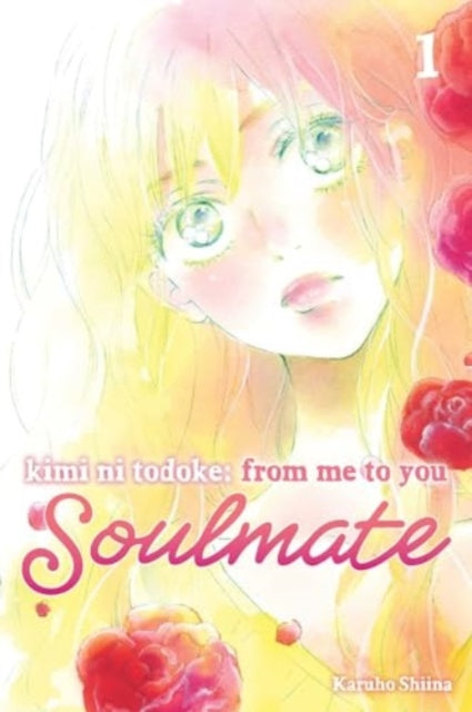 Kimi Ni Todoke/me To You Soulmate Vol 1