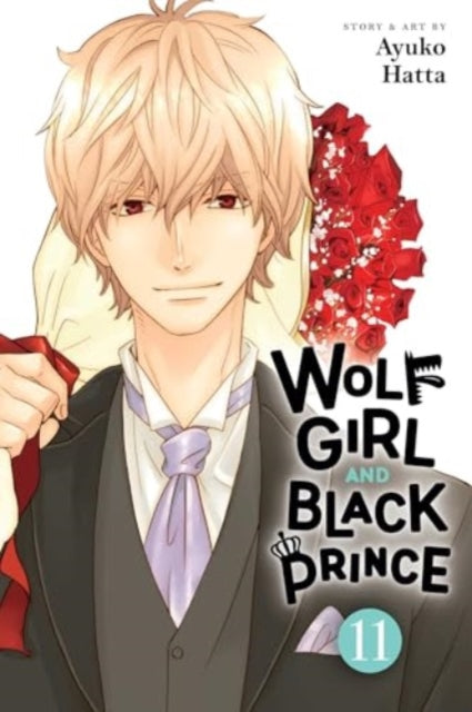 Wolf Girl & Black Prince Vol 11