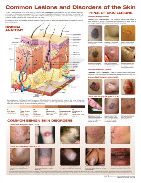 Common Lesions & Disorders Of The Skin