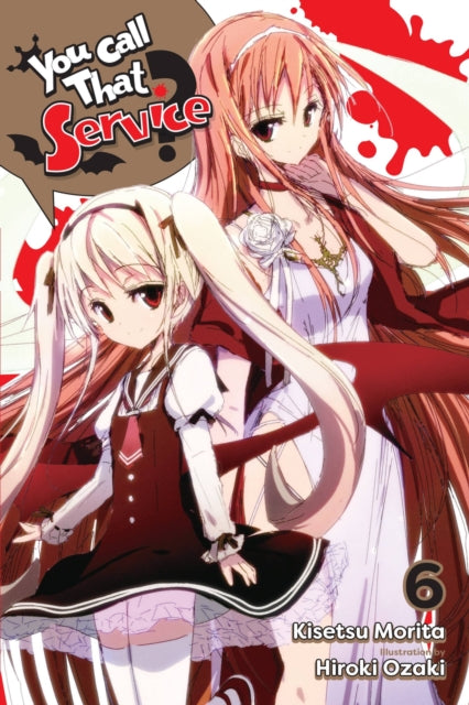 You Call That Service Vol 6 Light Novel