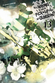Is It Wrong To Try To Pick Up Girls V 13