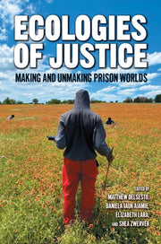 Ecologies Of Justice Making And Unmakin By Delsesto, Matthew