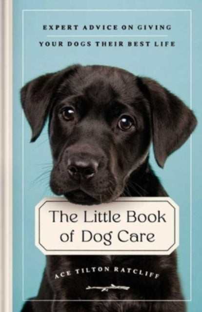 Little Book Of Dog Care