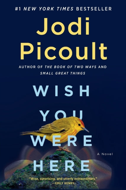 Wish You Were Here By Picoult, Jodi