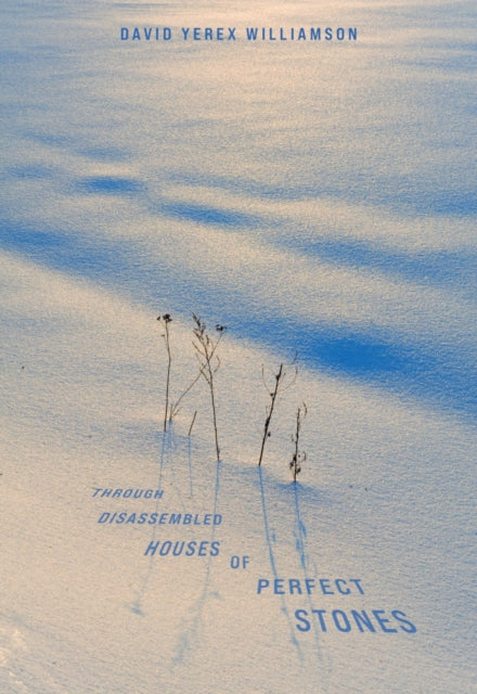 Through Disassembled Houses Of Perfect