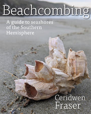 Beachcombing By Ceridwen  Crid  Fras