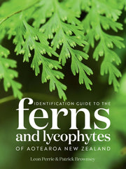 Identification Guide To The Ferns & Lyco