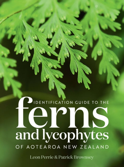 Identification Guide To The Ferns & Lyco