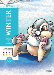 Mystery Colouring Winter