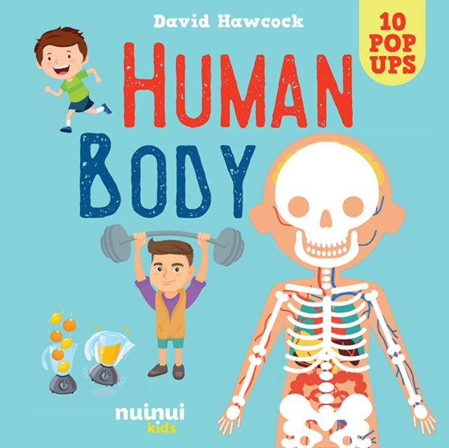Human Body Pop Up