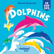 Dolphins Pop Up Book