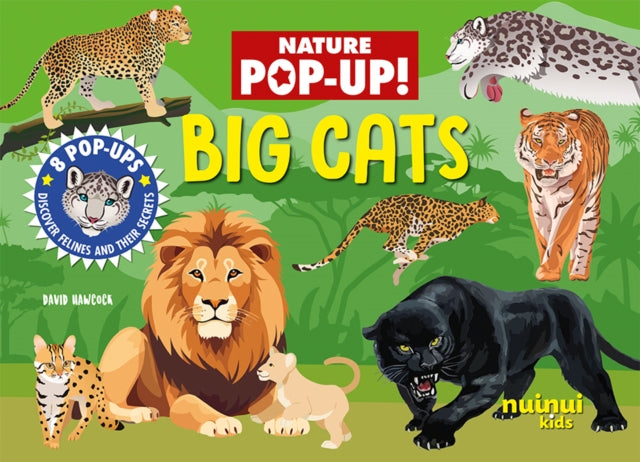 Big Cats Pop Up Book