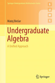 Undergraduate Algebra : A Unified Approa