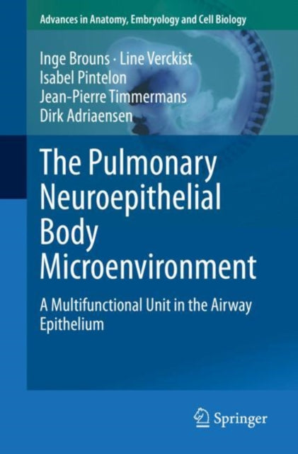 Pulmonary Neuroepithelial Body Microenvi