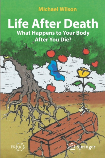 Life After Death What Happens To Your