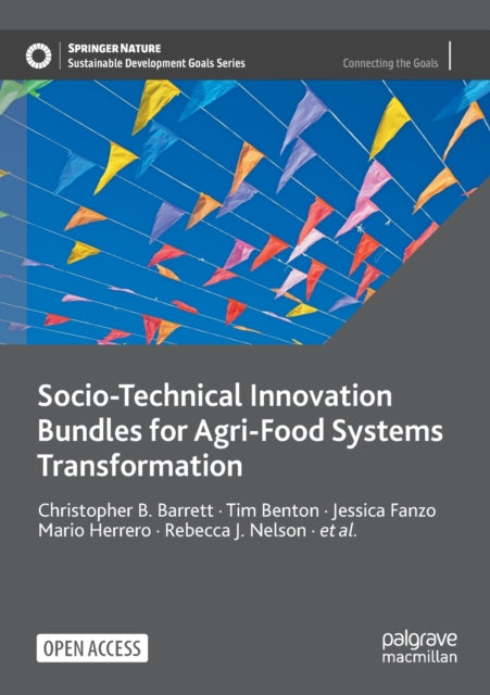 Socio-technical Innovation Bundles For