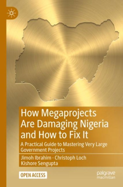 How Megaprojects Are Damaging Nigeria &