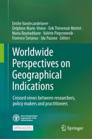 Worldwide Perspectives On Geographical I