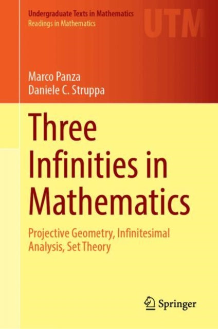 Three Infinities In Mathematics By Panza, Marco