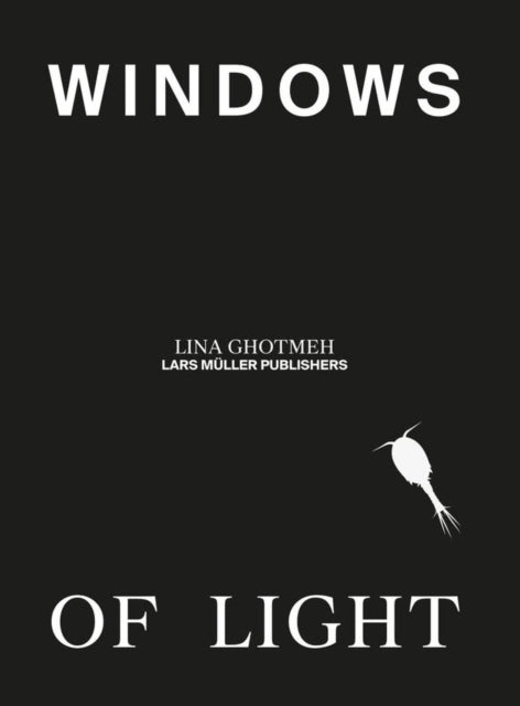 Windows Of Light