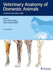 Veterinary Anatomy Of Domestic Anim