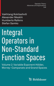 Integral Operators In Non-standard Funct