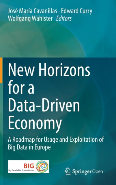 New Horizons For A Datadriven Economy