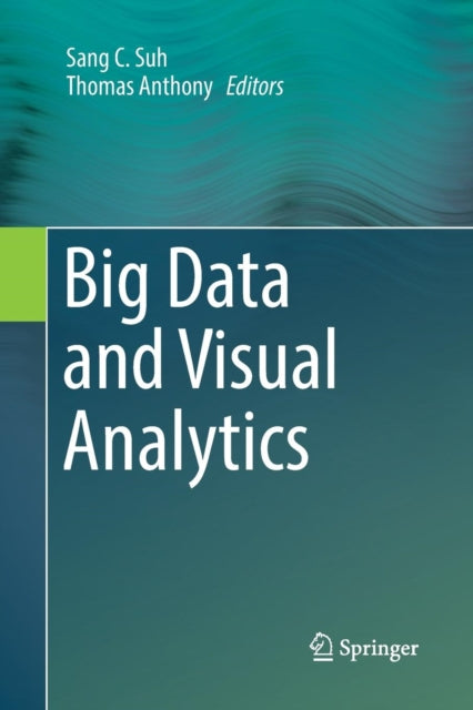 Big Data And Visual Analytics