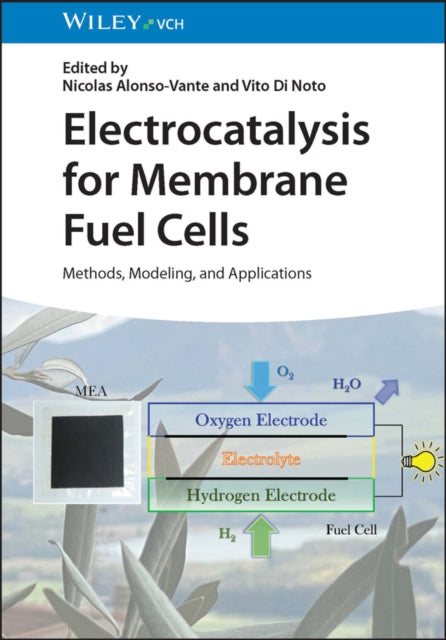 Electrocatalysis For Fuel Cells 8211