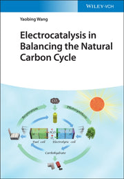 Electrocatalysis In Balancing The Natur