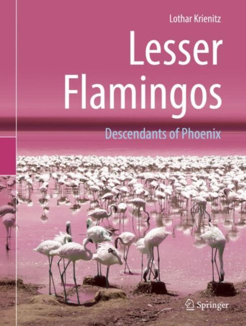 Die Nachfahren Des Feuervogels Ph  Nix