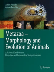 Metazoa Morphology & Evolution Of Animal